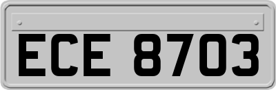 ECE8703