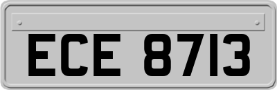 ECE8713