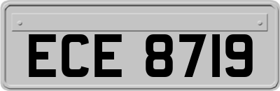 ECE8719