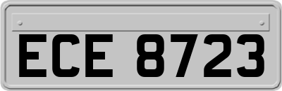 ECE8723
