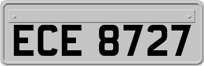ECE8727