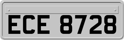 ECE8728