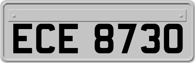 ECE8730