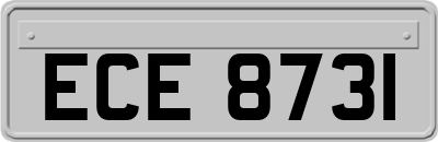 ECE8731