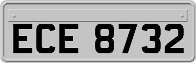 ECE8732