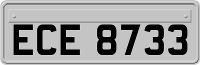 ECE8733