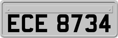 ECE8734