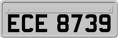 ECE8739