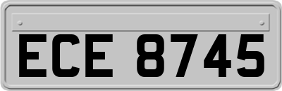ECE8745