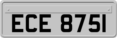 ECE8751