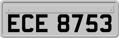 ECE8753