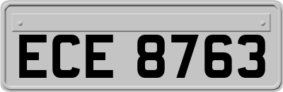 ECE8763