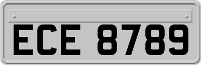 ECE8789