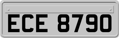 ECE8790