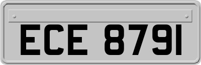 ECE8791