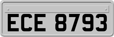ECE8793