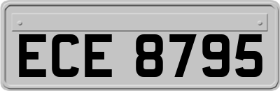 ECE8795