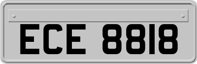 ECE8818