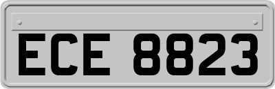 ECE8823