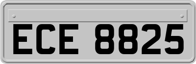 ECE8825