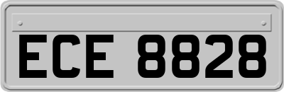 ECE8828