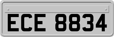 ECE8834