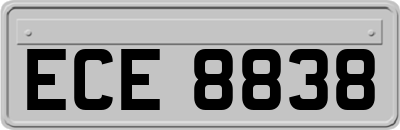 ECE8838