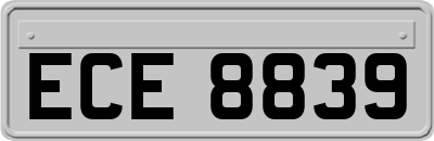 ECE8839