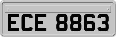 ECE8863