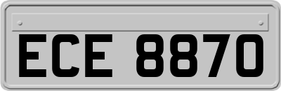 ECE8870