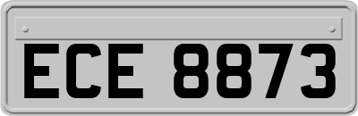 ECE8873