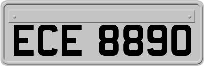 ECE8890