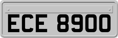 ECE8900