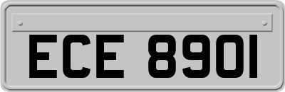 ECE8901
