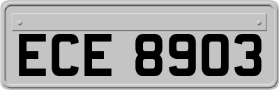 ECE8903