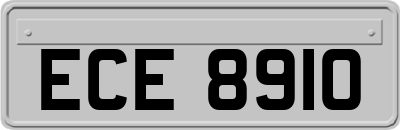 ECE8910