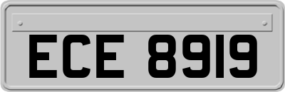ECE8919