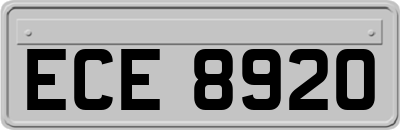 ECE8920
