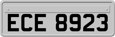 ECE8923