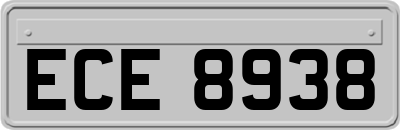 ECE8938