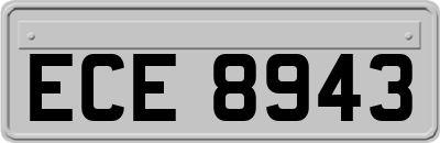 ECE8943