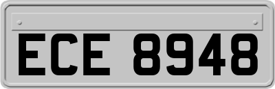ECE8948