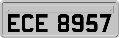 ECE8957