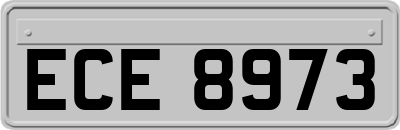 ECE8973
