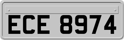 ECE8974