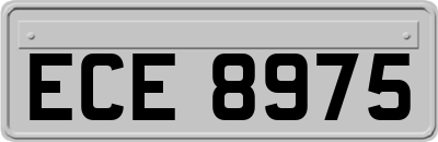 ECE8975