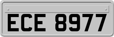ECE8977