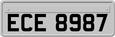 ECE8987