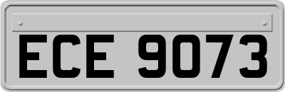 ECE9073