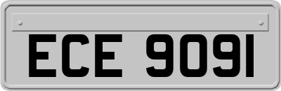 ECE9091